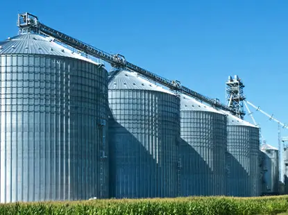 Exterior view of cylindrical storage tanks for industrial processes