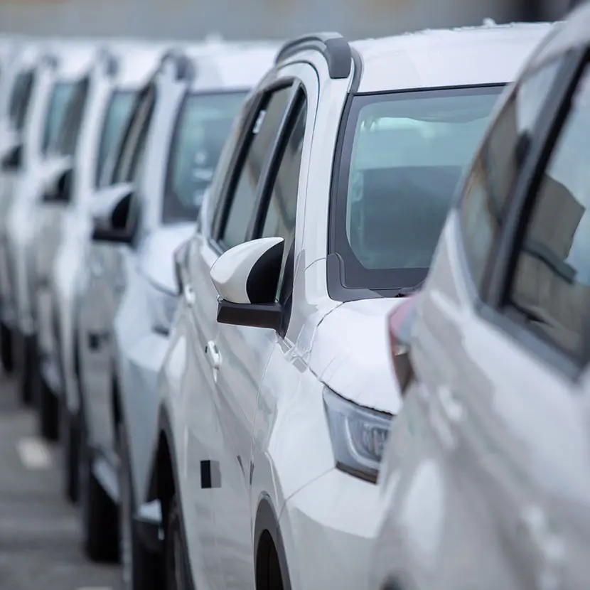 Row of white vehicles representing automotive sensor applications